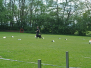 Rally Obedience-Turnier